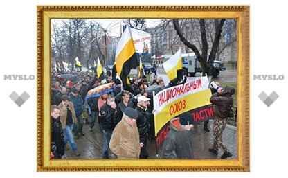 "Русский марш" в Туле прошел спокойно