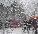 Погода в Туле 19 февраля: снег с дождем, ветер и до +6 градусов