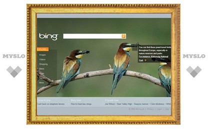 За три месяца поисковик Bing занял 10 процентов рынка