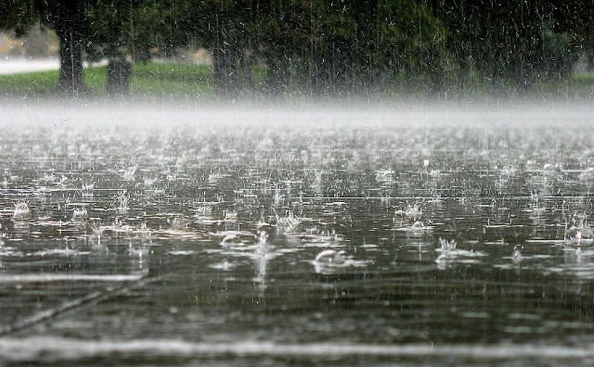 Погода в Туле 14 июля: снова ветер, дожди и грозы