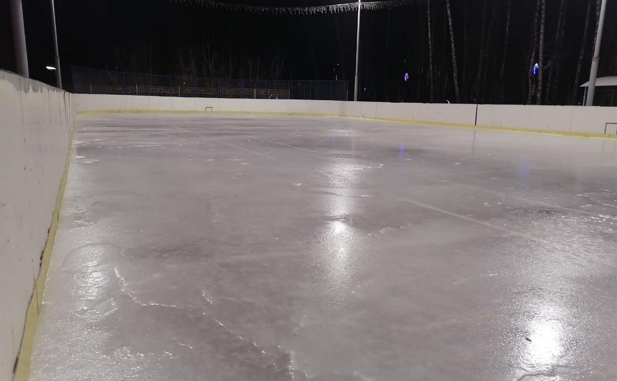 В Центральном парке Тулы открылся ледовый каток
