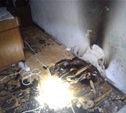 Короткое замыкание стало причиной пожара в офисном здании в Новомосковске