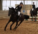 Красивые лошадки и наездницы: в Туле прошли соревнования по конкуру «Женский день» 