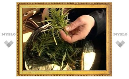 У петербургского каскадера изъяли марихуану