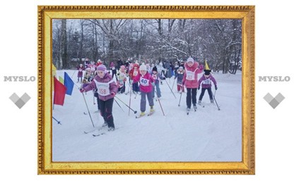 Тульские школьники соревновались на лыжне