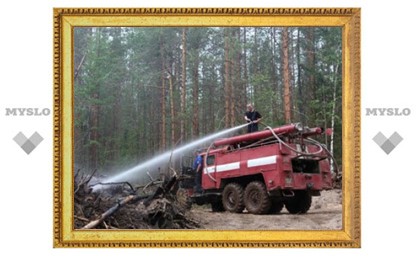 Число лесных пожаров в России за год сократилось на четверть
