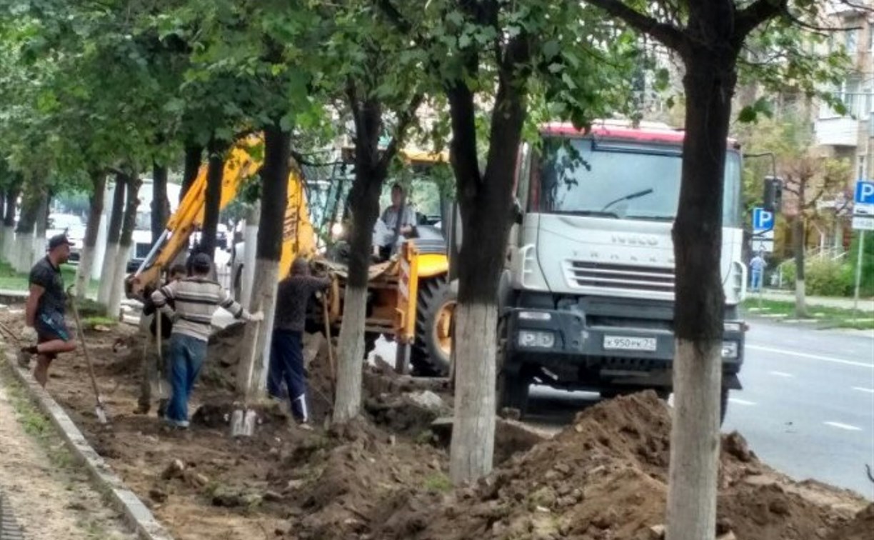 Варварское благоустройство: в Туле дорожные рабочие обрубают корни деревьев