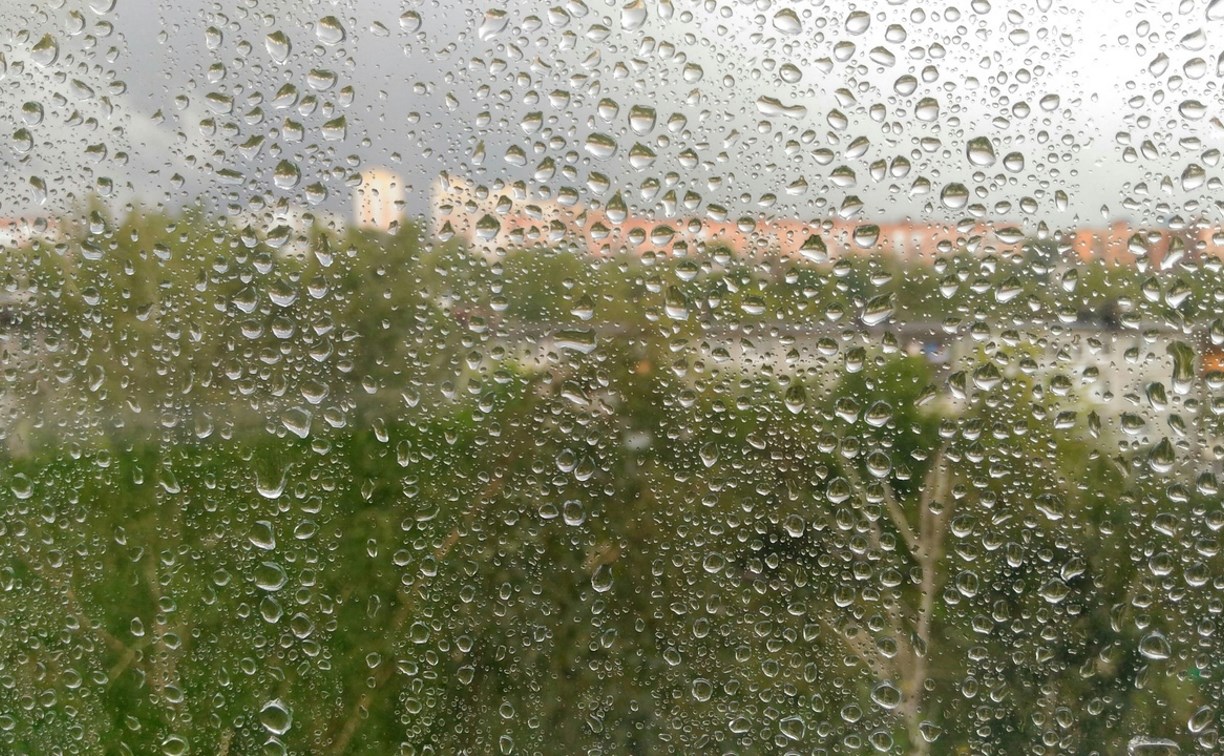 В воскресенье в Тульской области продолжатся дожди