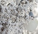 18 февраля в Туле ожидается снег и гололедица