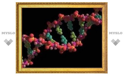 Впервые полностью расшифрован геном женщины