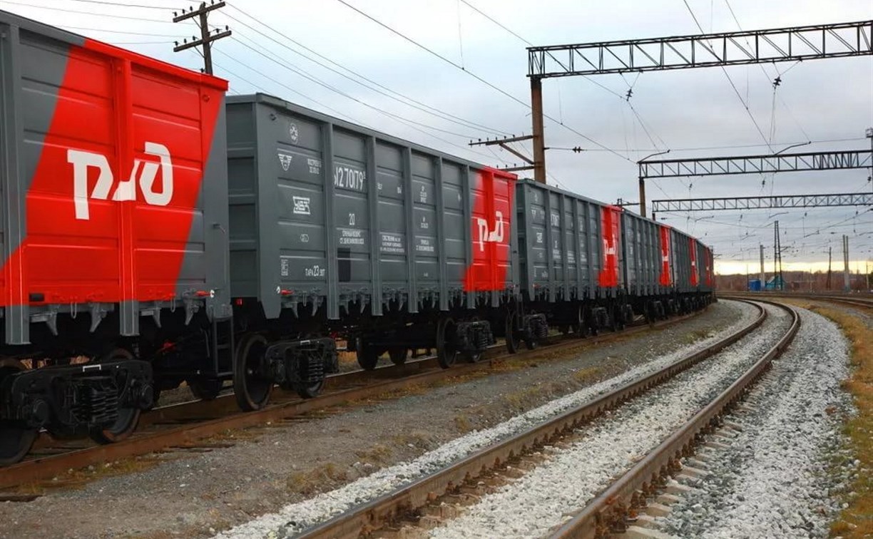 С начала апреля тульские железнодорожники перевезли почти 9000 тонн продуктов