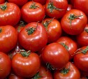 В Новомосковске уничтожили 32 кг турецких помидоров