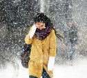 Погода в Туле 17 января: снег, порывистый ветер и низкое давление