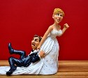 Минюст предложил приостановить регистрацию и расторжение браков