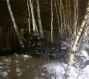 В Малахово 10-летняя девочка разбилась на снегоходе