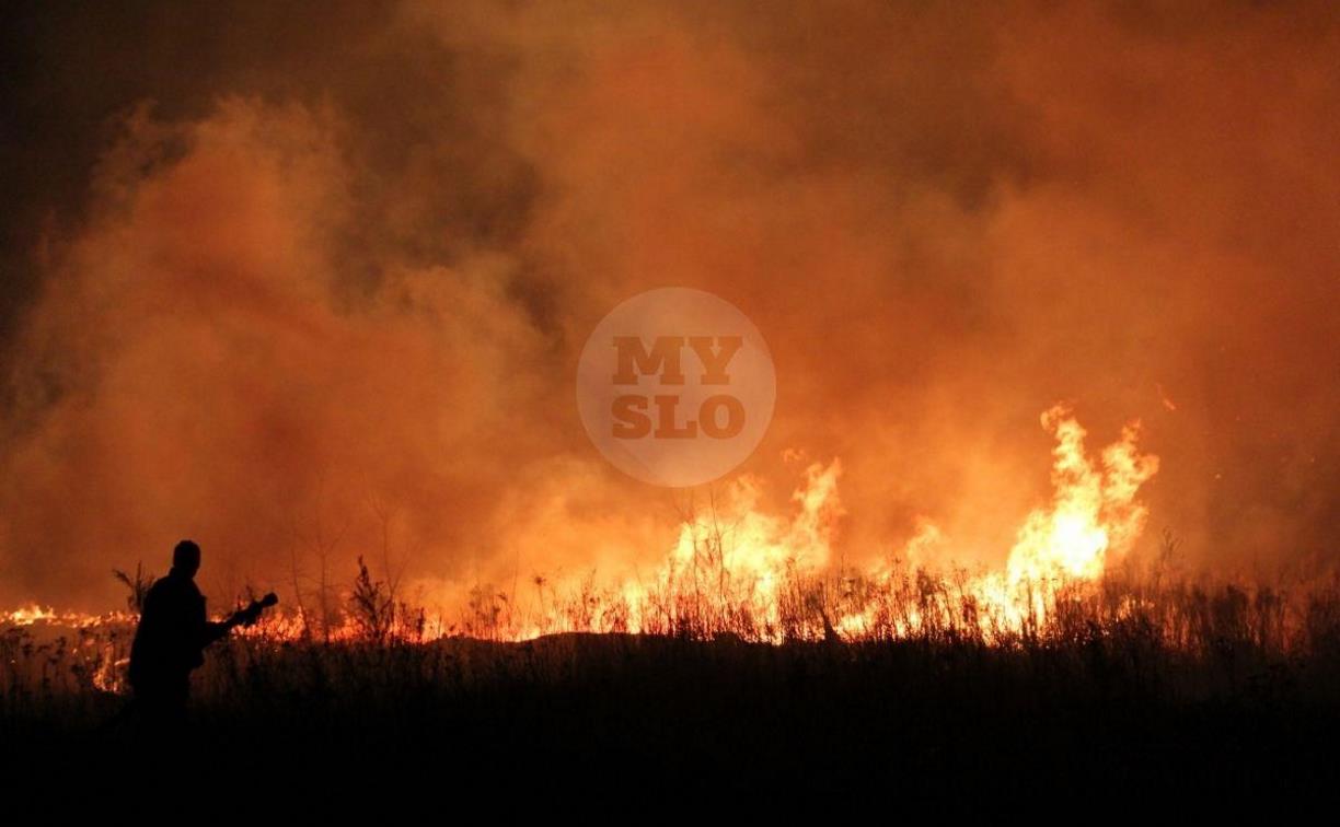 Жители Тульской области около 600 раз нарушили особый противопожарный режим