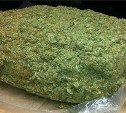 У жителя Узловой обнаружили 225 граммов марихуаны 