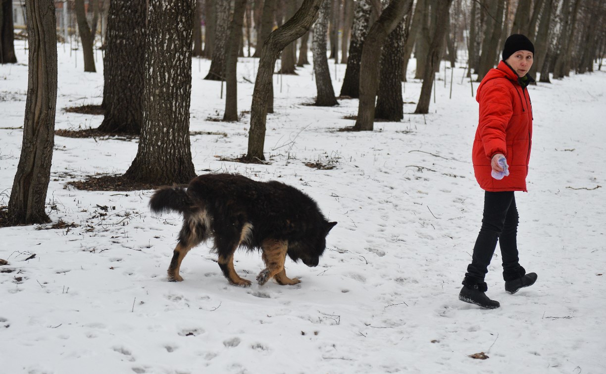 В Центральном парке прошёл рейд по выявлению нарушений выгула собак