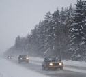 Тульская ГИБДД попросила автолюбителей остаться дома в морозы