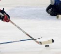 Новомосковск примет детский хоккейный турнир