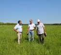 Егор Атанов: «Мониторинг исполнения закона о землях сельхозназначения очень своевременен и важен»