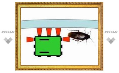 Появилась первая модель робота-таракана