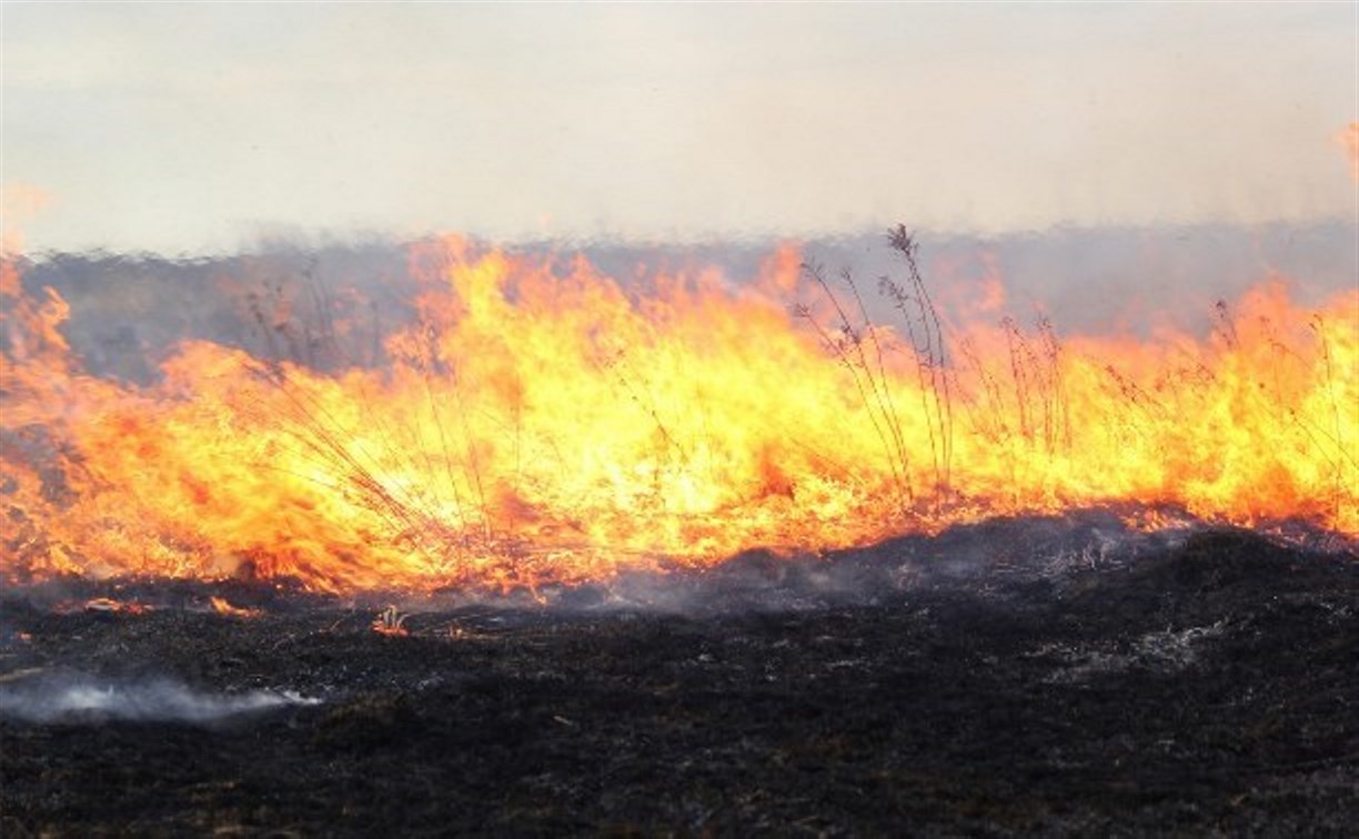 В Госдуме предложили вдвое увеличить штрафы за лесные пожары