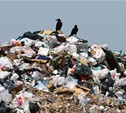 Евгений Авилов - тульскому блогеру: надо людей учить собирать мусор