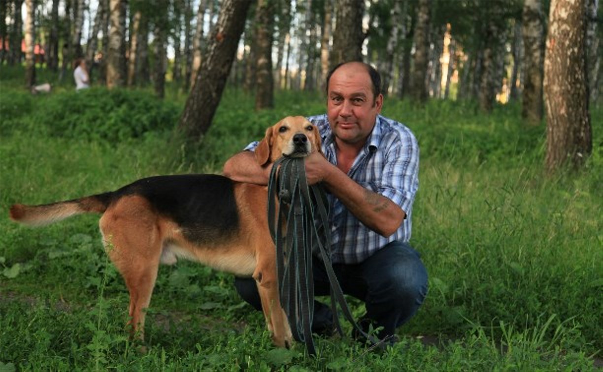 Жители Пролетарского района предлагают сделать площадку для выгула собак в березовой роще
