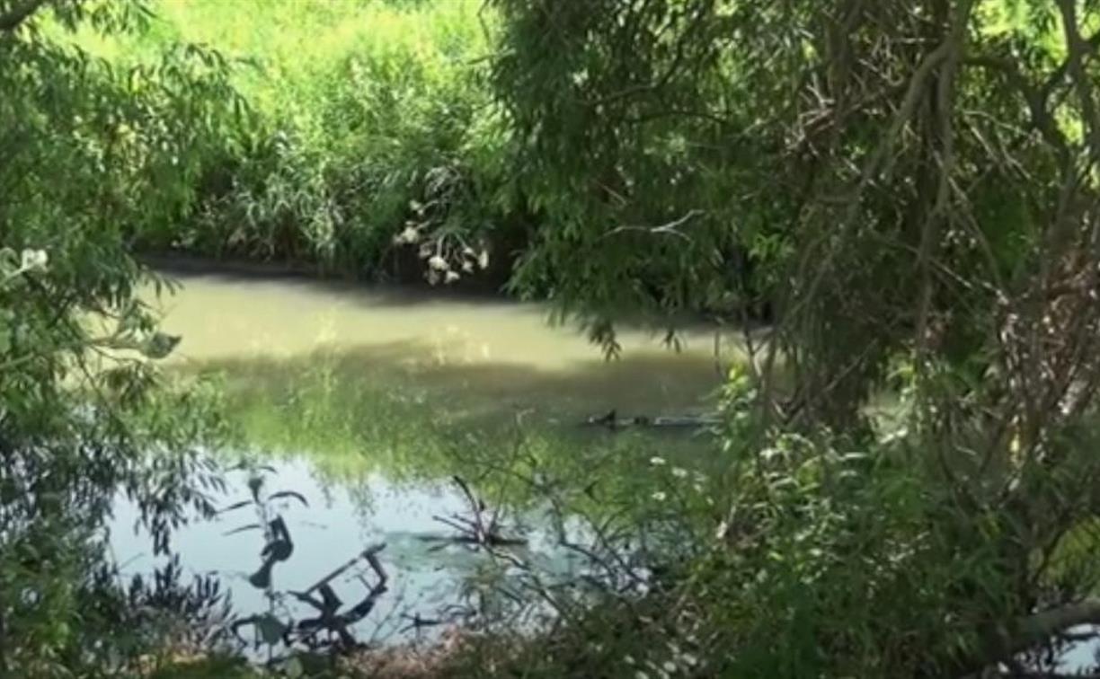 Массовая гибель рыбы в Тульской области: найден виновный в экологической катастрофе на реке Упёрта 
