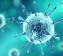 В Тульской области отмечены случаи заражения энтеровирусом