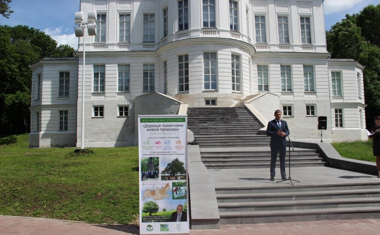 В Богородицке 187-летняя сосна получила статус «Памятник живой природы»
