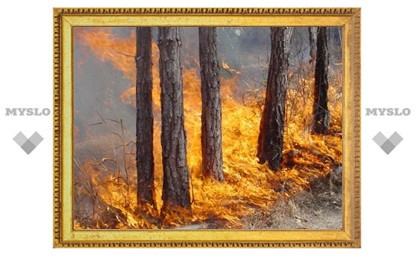 Воловской район готовится к лесным пожарам