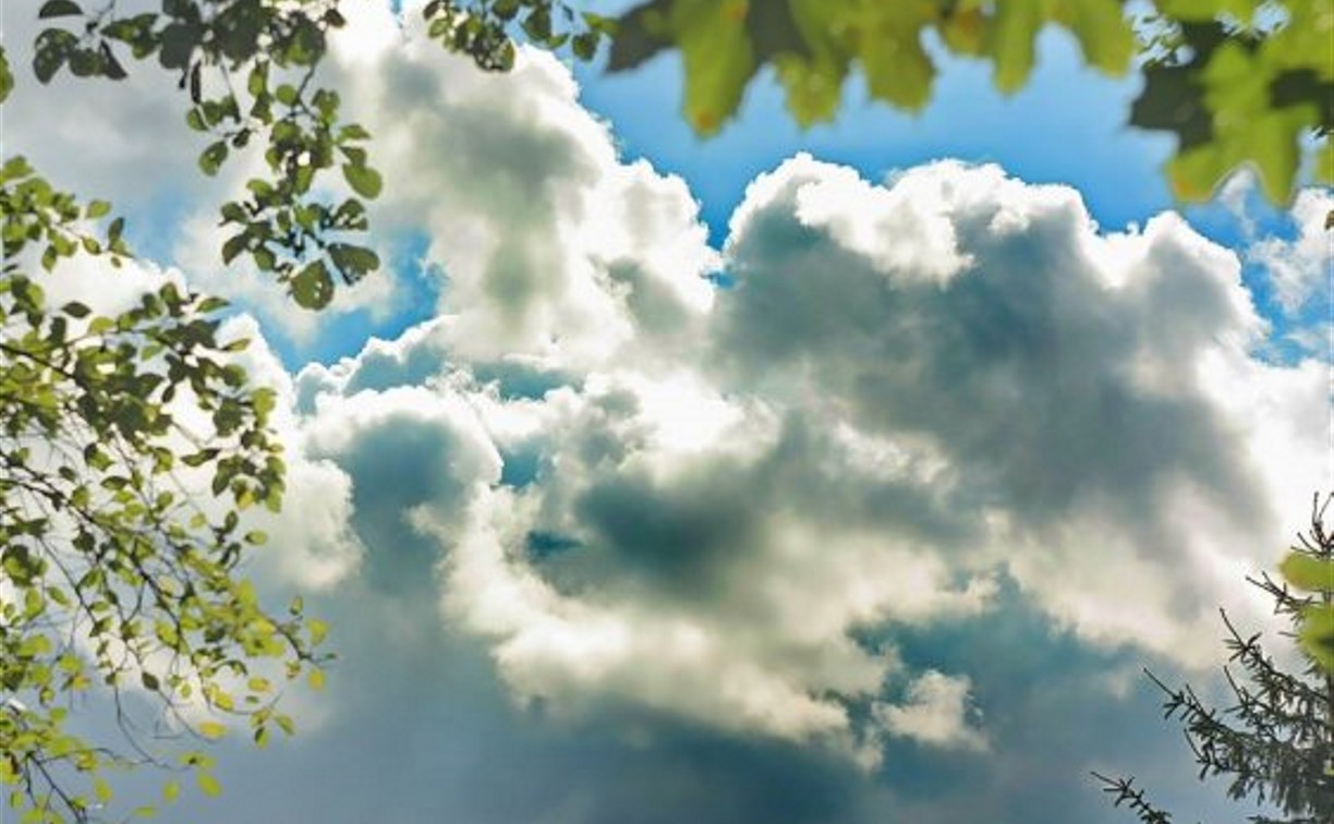 Погода в Туле 20 мая: облачно с прояснениями и до 20 тепла