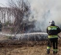 За выходные тульские пожарные более 200 раз выезжали на тушение сухой травы
