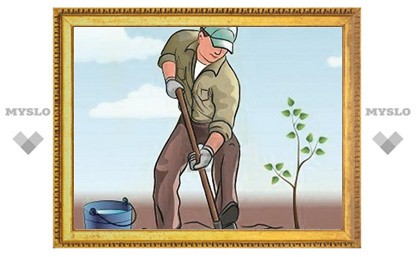 Давайте сажать деревья!