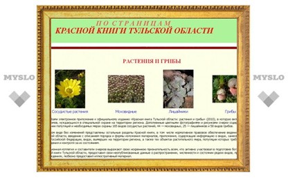 В Туле выпущена Красная книга грибов и растений