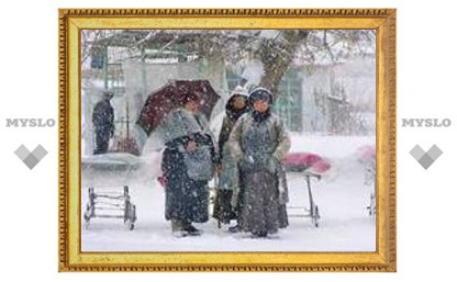 Понедельник в Туле: снегопад