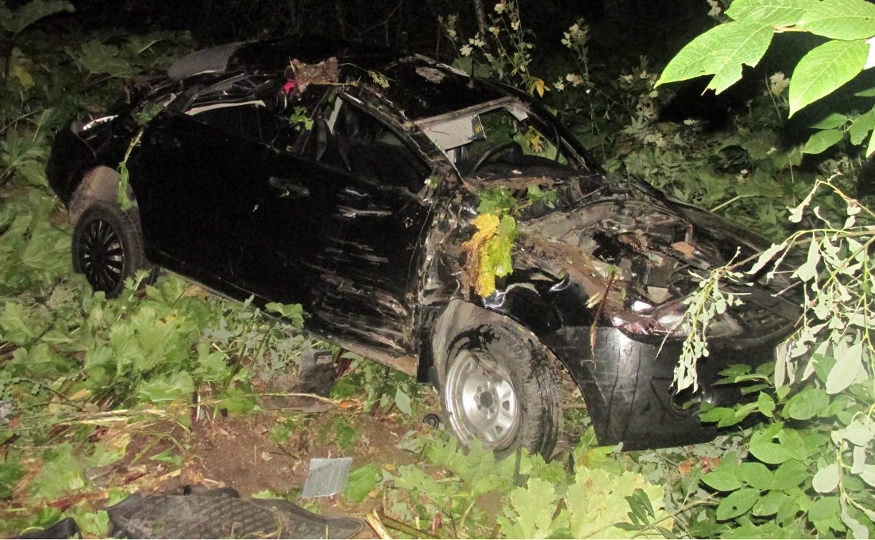 Водитель устроил ДТП в Тульской области: погибла 4-летняя девочка