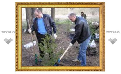 В Ясной Поляне тульские депутаты высаживают деревья