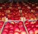 В Тульскую область пытались провезти 19,5 тонн польских яблок