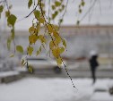 Погода в Туле 1 декабря: небольшой снег, гололедица и до -10