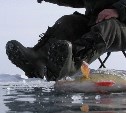 Труп рыбака из Тульской области проплыл по Оке более 30 км