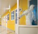 Один заражает девятерых: в Москве зафиксирован новый штамм коронавируса
