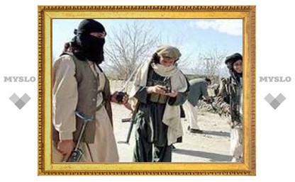 В боях на юге Пакистана убиты более 200 узбекских боевиков