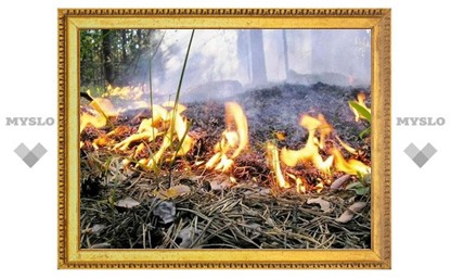 Лесам Тульской области присвоили пожароопасный класс