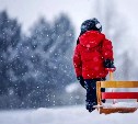 Погода в Туле 30 декабря: облачно, небольшой снег и до -9 градусов