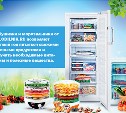 Холодильник.ру: Техника для заготовки и хранения продуктов