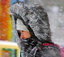 В Тульской области ожидаются сильный снег и метель