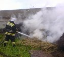 В Тульской области в ангаре сгорело 20 тонн сена